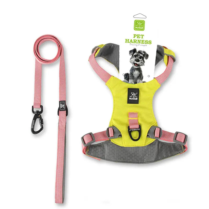 Adjustable Harness & Leash Set for Small/Medium Dogs, Cats,Lightweight Breathable Polyester, Reflective Trim, Durable Tear-Resistant Woven Webbing, Anti-Chafe Design for Daily Walks & Training.Suitable for Cats, Dogs, and All Pets!