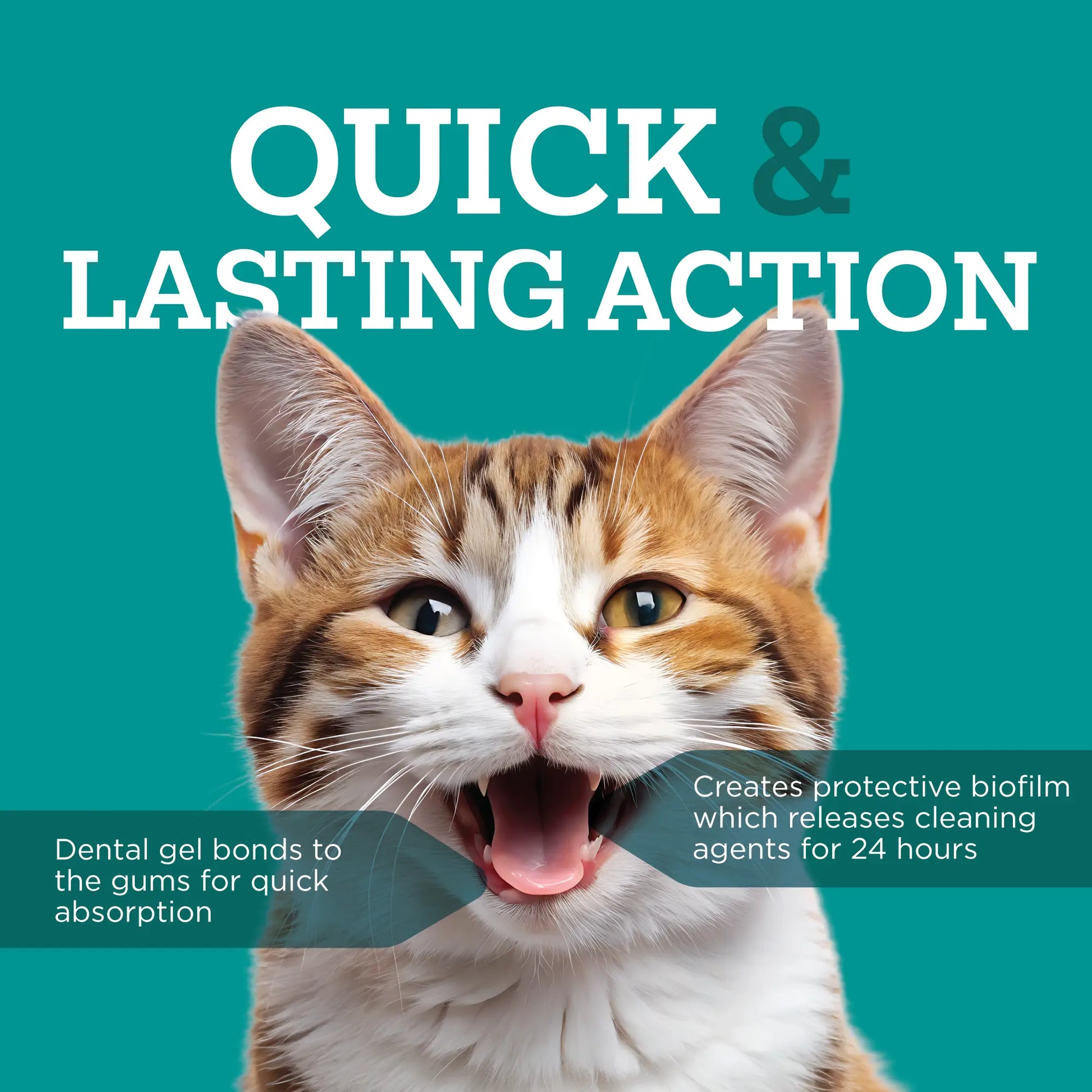 Twist + Lick Dental Gel for Cats, Cleans Teeth and Freshens Breath for 24 Hours, Cat Nip Flavor, 30 Day Supply