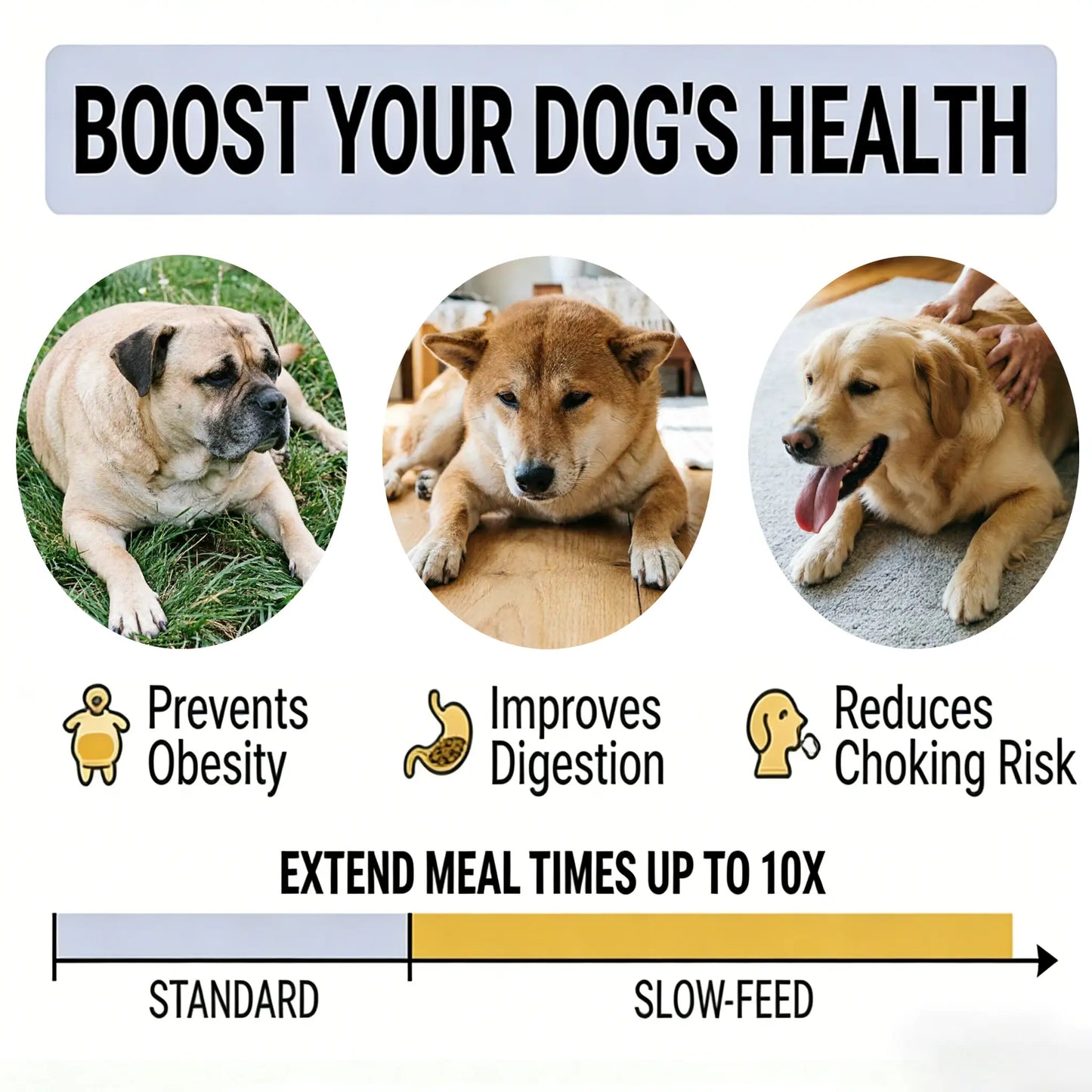 Slow Feeder Dog,Anti-Slip Feeder Slo Anti-Choking Removable Easy Clean Slow Feeder down Eating for Mediumsized Dogs Small Dog Puzzle Toys Pet Bowls