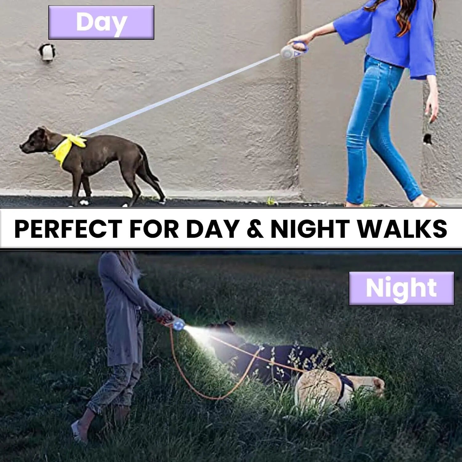 Pawzseekled Retractable Dog Leash - Easy Extension, Built-In Lighting for Enhanced Night Safety and Improved Visibility
