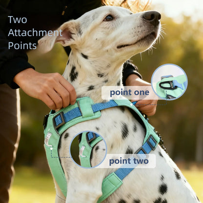 Adjustable Harness & Leash Set for Small/Medium Dogs, Cats,Lightweight Breathable Polyester, Reflective Trim, Durable Tear-Resistant Woven Webbing, Anti-Chafe Design for Daily Walks & Training.Suitable for Cats, Dogs, and All Pets!