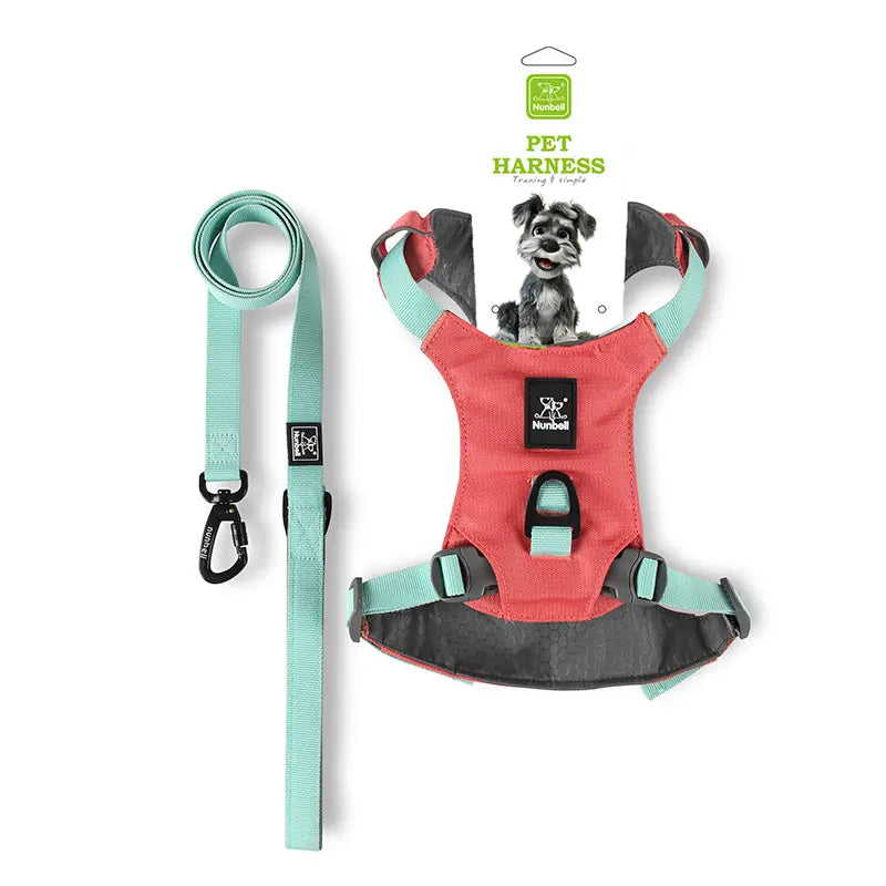 Adjustable Harness & Leash Set for Small/Medium Dogs, Cats,Lightweight Breathable Polyester, Reflective Trim, Durable Tear-Resistant Woven Webbing, Anti-Chafe Design for Daily Walks & Training.Suitable for Cats, Dogs, and All Pets!